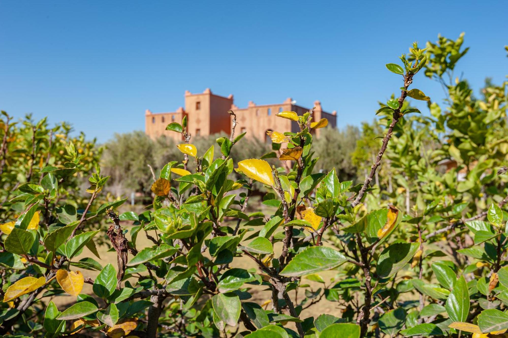 Villa Ferme Sidi Safou Marrakesh Esterno foto