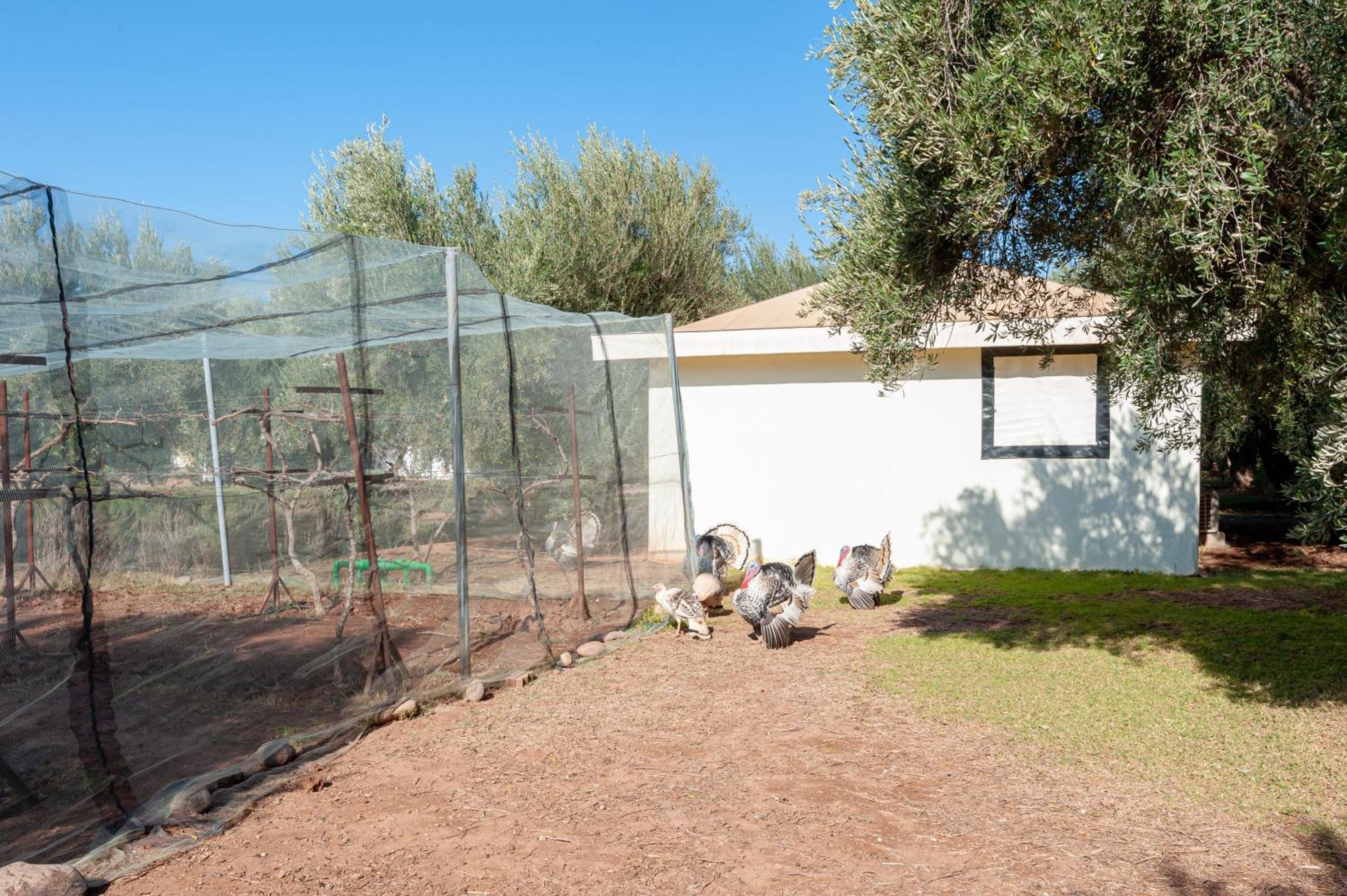 Villa Ferme Sidi Safou Marrakesh Esterno foto
