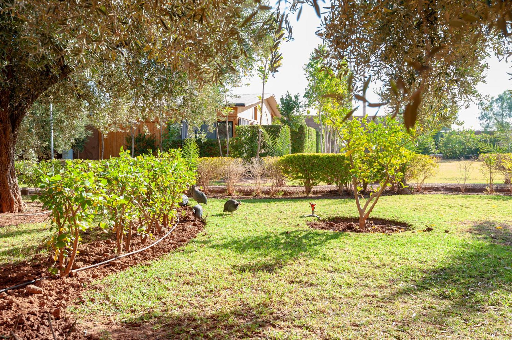 Villa Ferme Sidi Safou Marrakesh Esterno foto